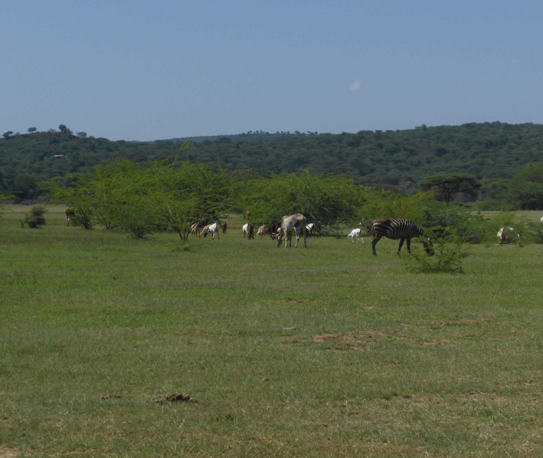 Lake Baringo