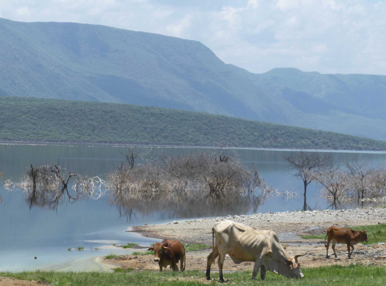 Lake Baringo